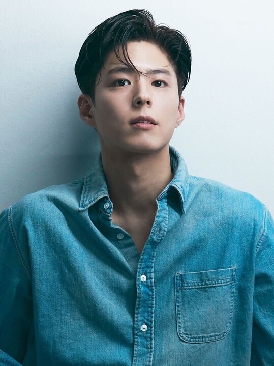 배우 박보검, 애니메이션 
